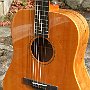 Dreadnought size steel string. Spalted Bigleaf Maple body, ebony fingerboard and bridge, Sitka spruce top and Vt cherry neck.  Oil varnish finish. <br />